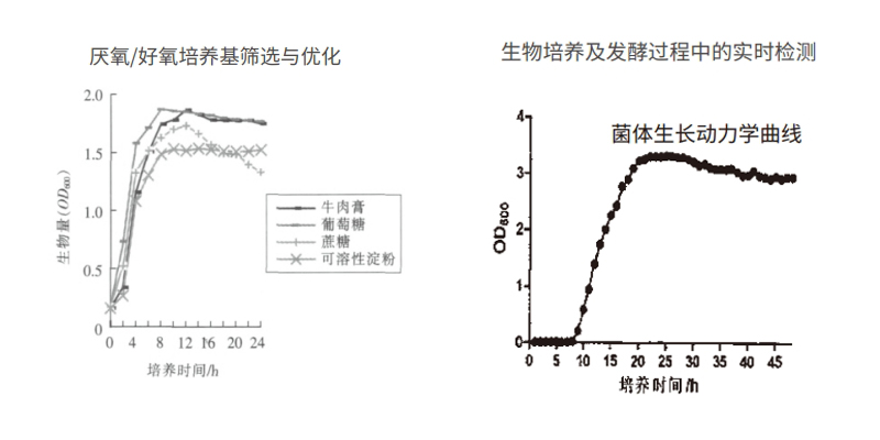 過程安全，結(jié)果精準